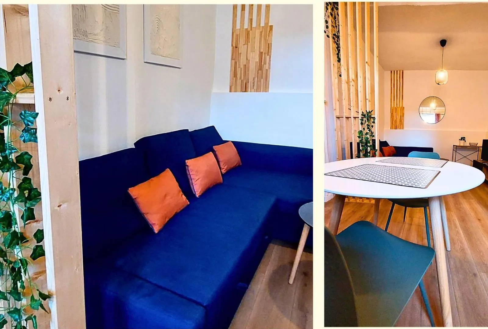 Artklein * T1 Tout Confort - Fibre -Halles Diderot Roanne 0*,